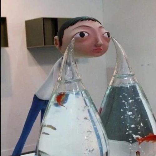 欧美头像鱼缸图片大全,打造家居艺术新焦点